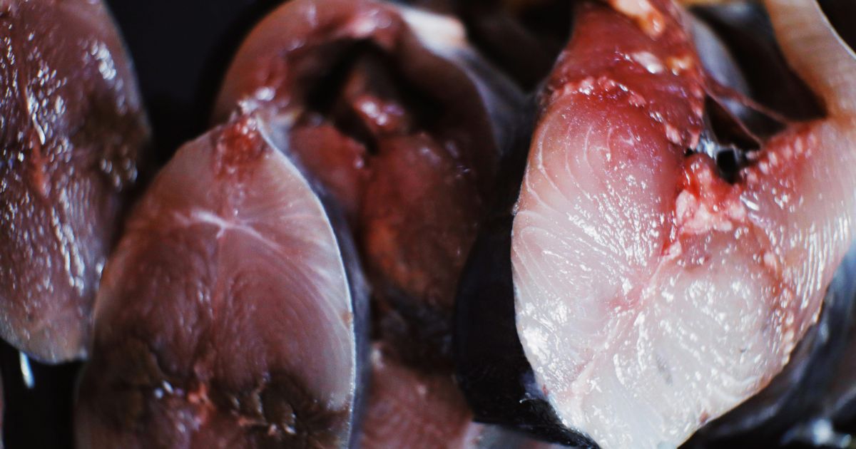 Fakta Mengejutkan di Balik Menu Viral Lele Mentah MBG di Pamekasan, Ada Susu dan Buah Naga yang Menyehatkan!