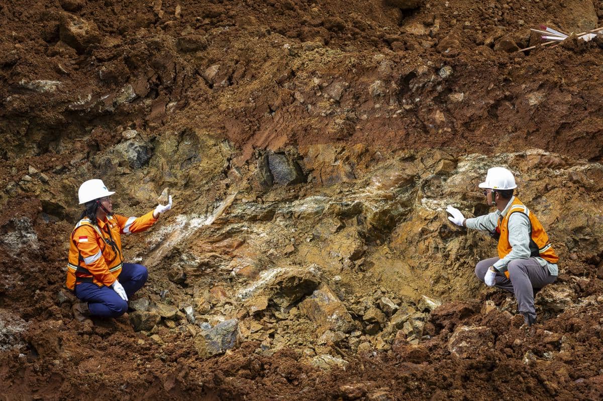 Melawan Harga Lesu, Rahasia PT Vale Suntik Laba Bersih Hingga 32 Persen di Tengah Tantangan Operasional 2025