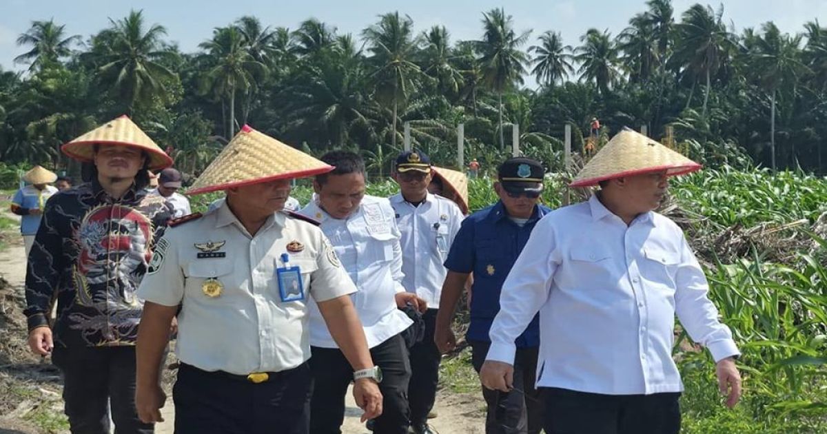 Ditjenpas Tatan Dirsan Atmaja meninjauan program ketahanan pangan
