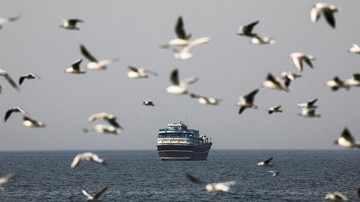 Tarif Transit Dadakan di Selat Hormuz: Iran dan Oman Tarik Biaya Selama Dua Pekan Gencatan Senjata dengan AS