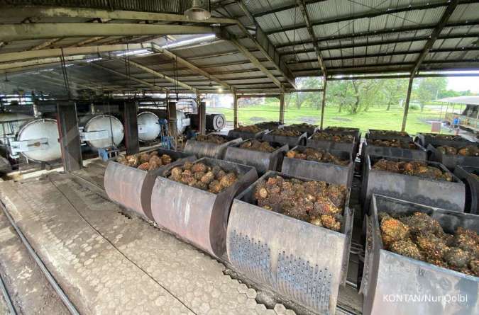 AALI Tebar Cuan Besar! Astra Agro Lestari Siap Guyur Pemegang Saham Dividen Rp335