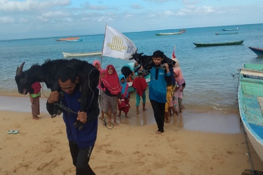 Optimisme Kurban 1447 H: Laznas Dewan Dakwah Perluas Jangkauan Distribusi hingga Daerah Terpencil dan Mancanegara