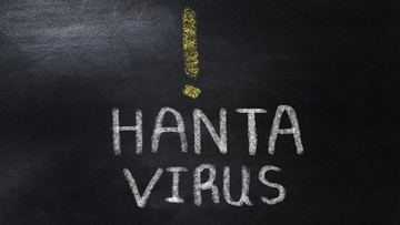 Jejak Panjang Hantavirus di Indonesia: Kemenkes Soroti Temuan Riset Mengenai Prevalensi Virus Tikus
