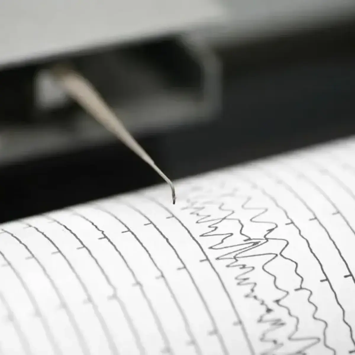 Gempa Magnitudo 6,7 Guncang Kepulauan Tanimbar Maluku, BMKG Pastikan Tidak Berpotensi Tsunami