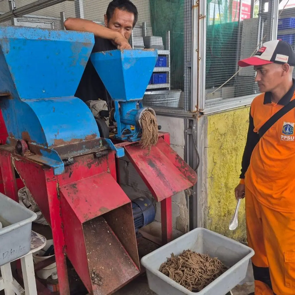 Transformasi Hijau di Koja: Kisah Bank Sampah Cemara Mengolah Limbah Jadi Peluang Ekonomi