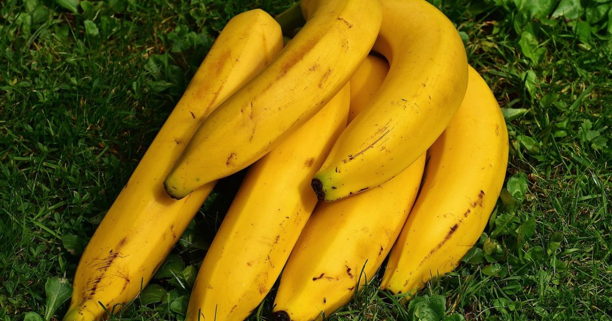 Panduan Diet Sehat: 8 Pilihan Makanan Rekomendasi Dokter untuk Pengidap Asam Urat
