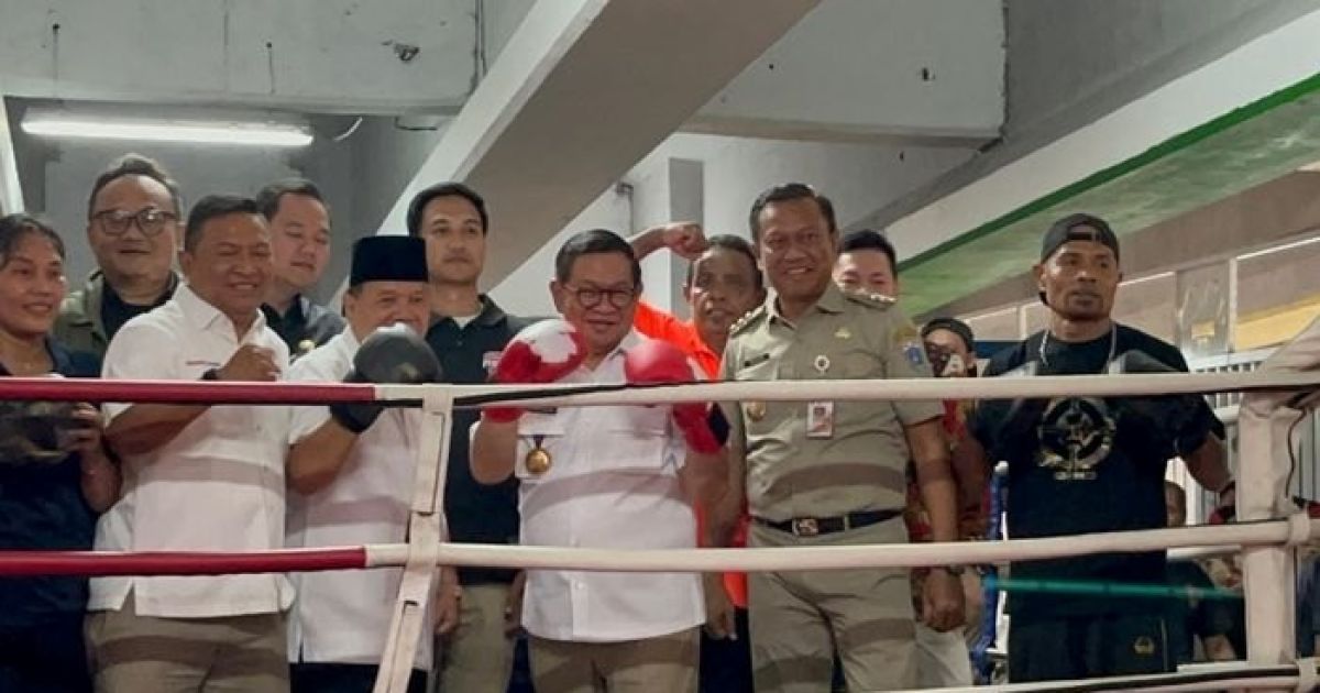 Transformasi Kolong Jembatan Pasar Rebo: Dari Lokasi Rawan Tawuran Menjadi Pusat Pembinaan Olahraga Tinju