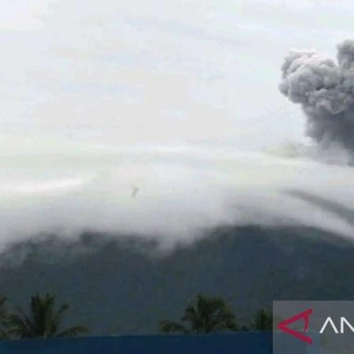 Radius Aman Gunung Ibu Diperluas Jadi 3,5 Km Pasca Erupsi Terbaru