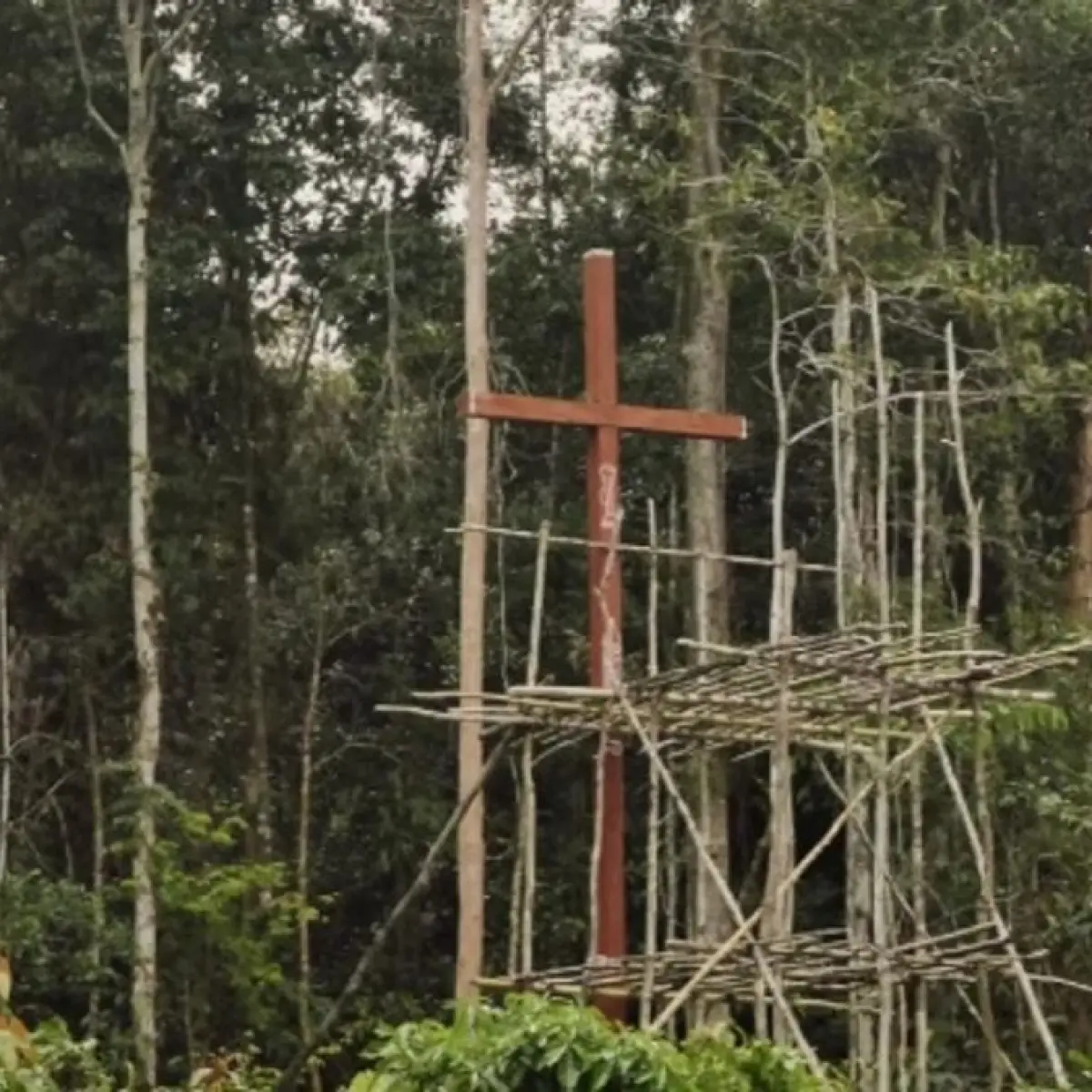 Menguak Isu Tanah Papua: Film Dokumenter 'Pesta Babi' Kini Bisa Diakses Publik Gratis di YouTube