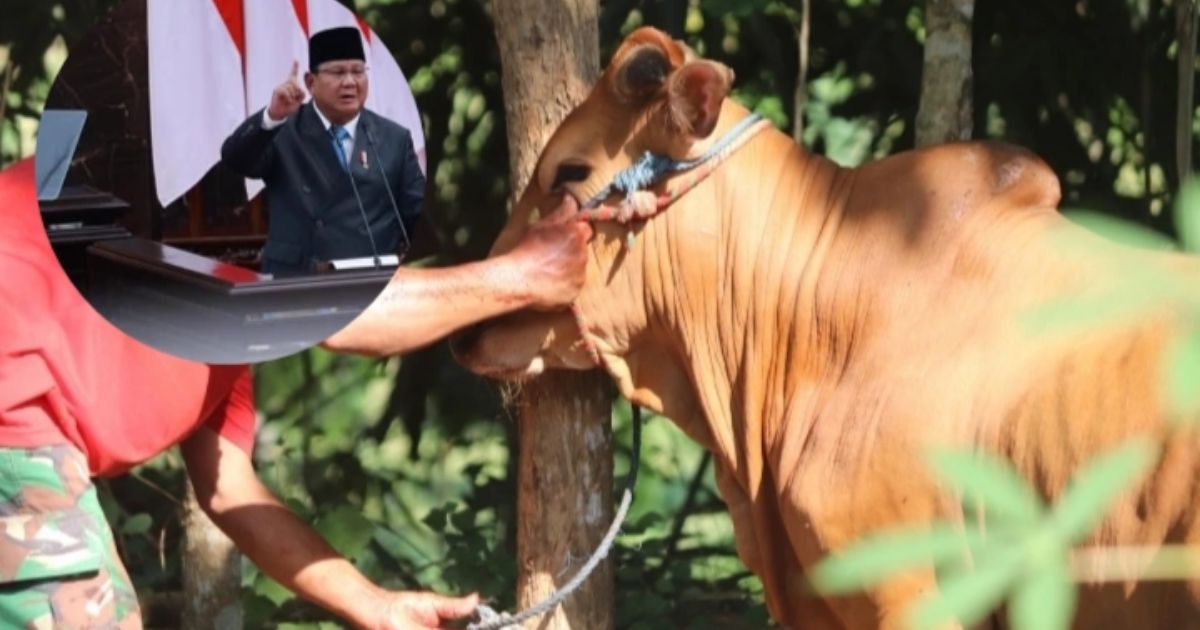 Fakta dibalik sapi kurban Prabowo Subianto yang berasal dari dana APBN. [Foto: Instagram/Prabowo dan Pixabay]