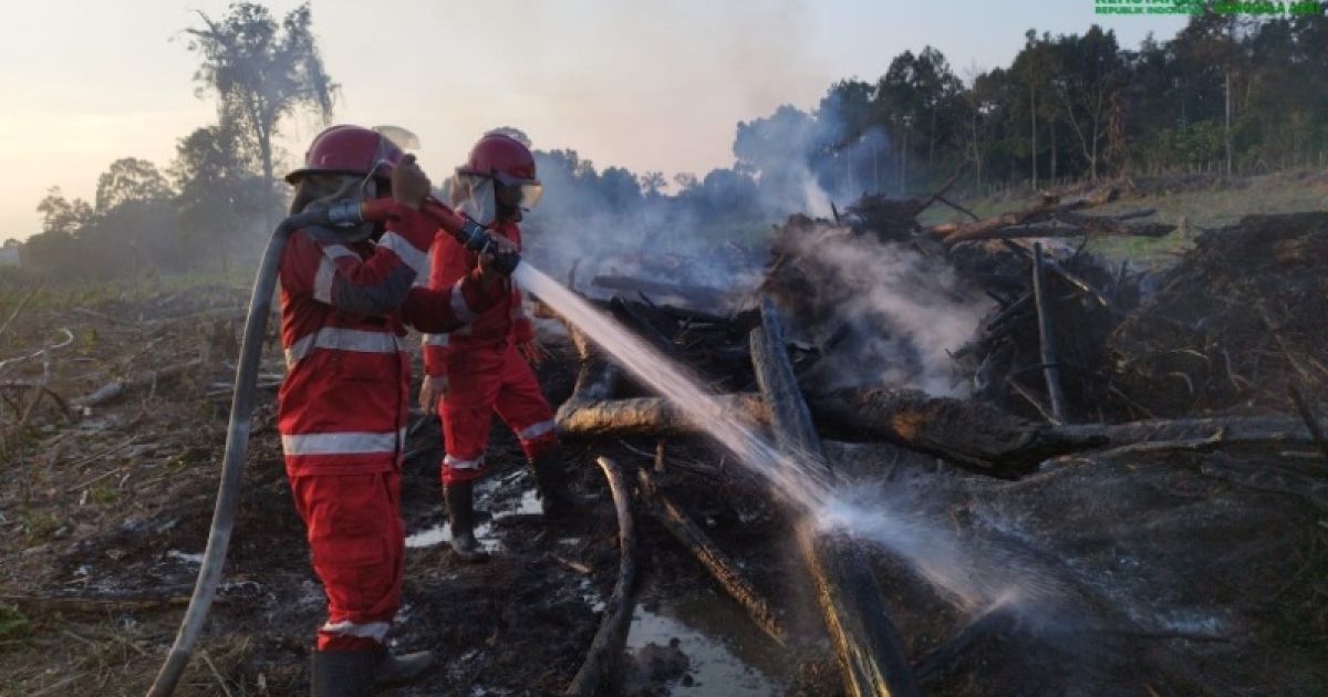 Kementerian Kehutanan Perkuat Operasi Pemadaman Karhutla di Sumatera