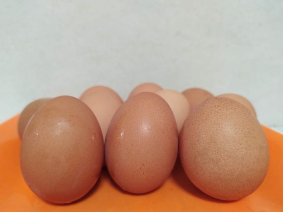 Misteri Harga Telur Ayam Jumbo Lebih Kompetitif: Analisis Mendalam dari Pakar IPB
