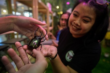 Mengintip Keajaiban Tersembunyi Jakarta: Pameran 'House of Bugs' Mengedukasi Peran Vital Serangga