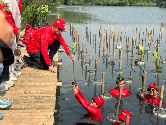 Digiland Run Bukan Sekadar Lomba Lari, Aksi Nyata Tanam 26.000 Pohon Demi Lingkungan