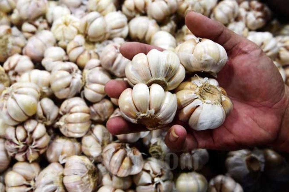 Strategi Pemerintah Percepat Impor Bawang Putih Demi Stabilisasi Harga di Tengah Tekanan Kurs Rupiah