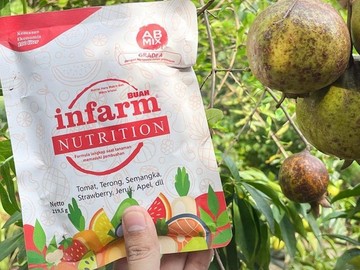 Urban Farming Jadi Kunci Ketahanan Pangan Pribadi dan Gaya Hidup Ramah Lingkungan