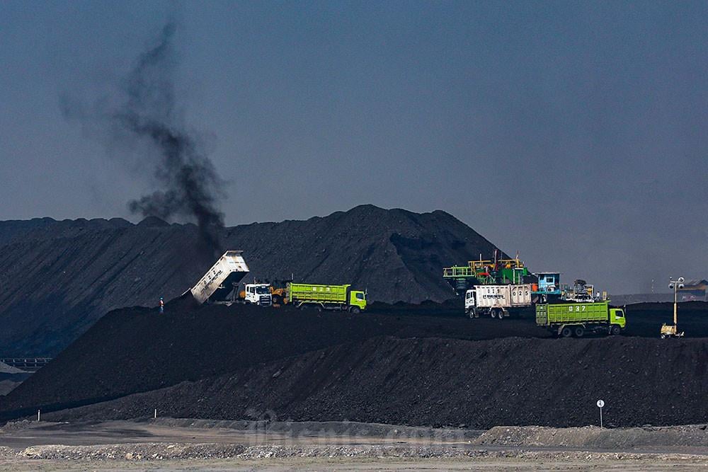 Lonjakan Harga Batu Bara Kalori Tinggi Juli 2026 Indikasikan Dinamika Pasar Mineral