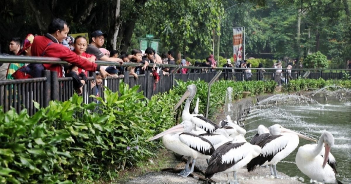 Jelajahi Keberagaman Wisata Jakarta: Destinasi Favorit Keluarga untuk Liburan Tak Terlupakan
