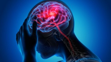 Teh: Minuman Harian Penuh Khasiat Lindungi Jantung dan Otak dari Risiko Stroke