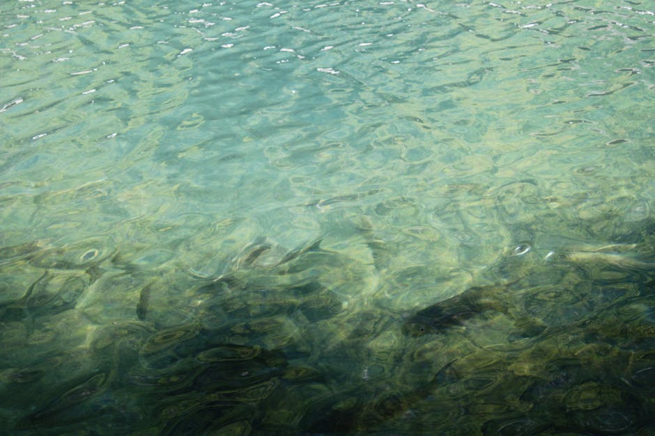 Rahasia Tubuh Bugar: Strategi Bijak Batasi Minuman Manis Selama Ramadan