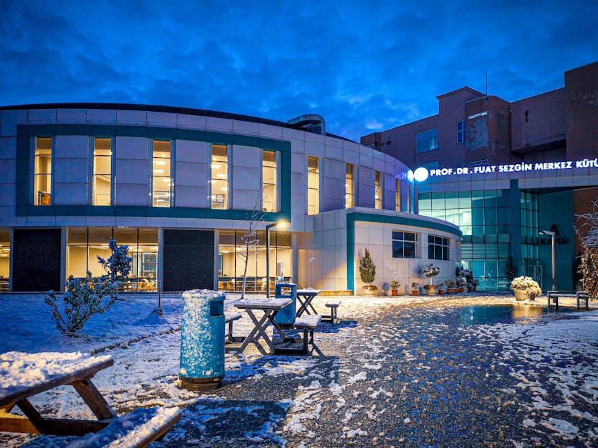 Rahasia Membangun Portofolio Unggul Demi Menaklukkan Beasiswa Impian